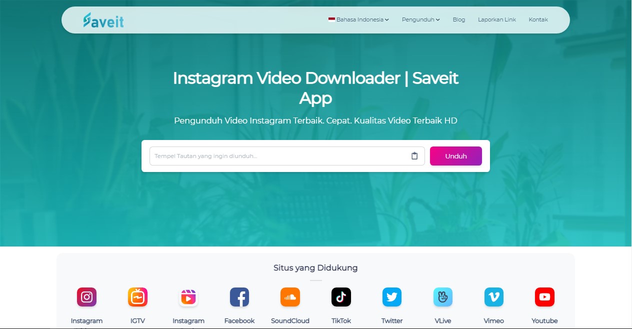 Instagram Video Downloader dari Saveit App